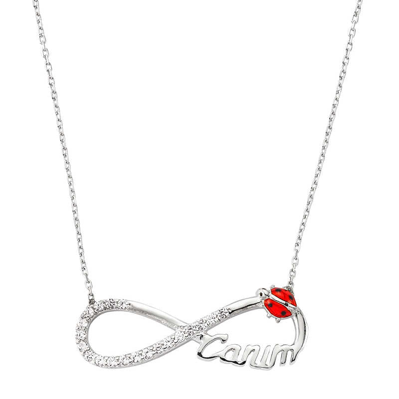Women's Ladybug & Infinity Pendant Silver Necklace