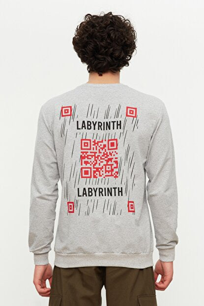 Men's Crew Neck Printed Grey Regular Fit Sweatshirt