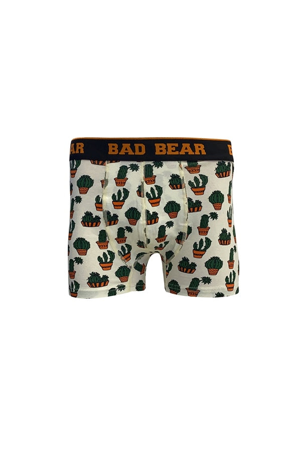 Men's Cactus Pattern Off-White Boxer