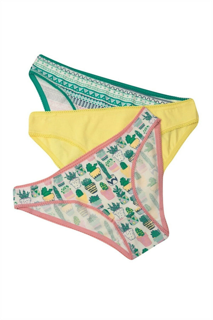 Women's Multi-color Panties (3 Pieces)
