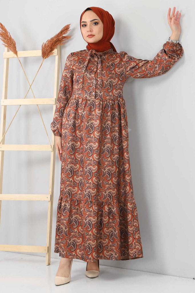 Women's Paisley Pattern Ginger Long Dress