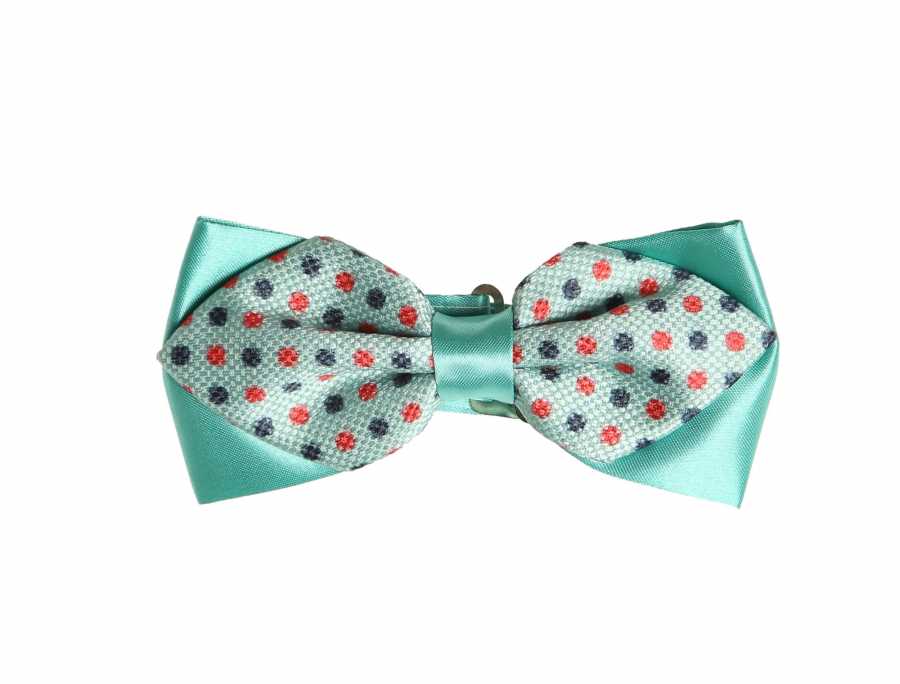 Aqua Green Satin Garnish Patterned Bow Tie