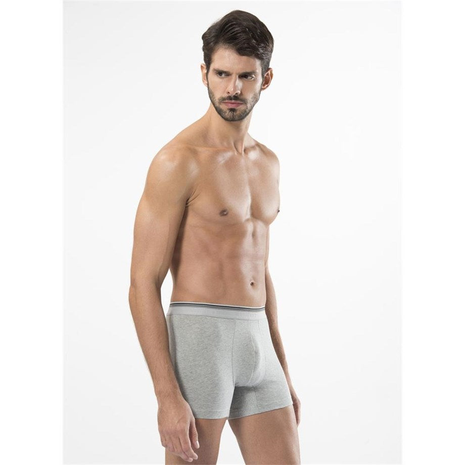 Men's Grey Lycra Boxer - 2 Pieces