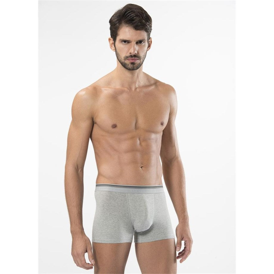 Men's Grey Lycra Boxer